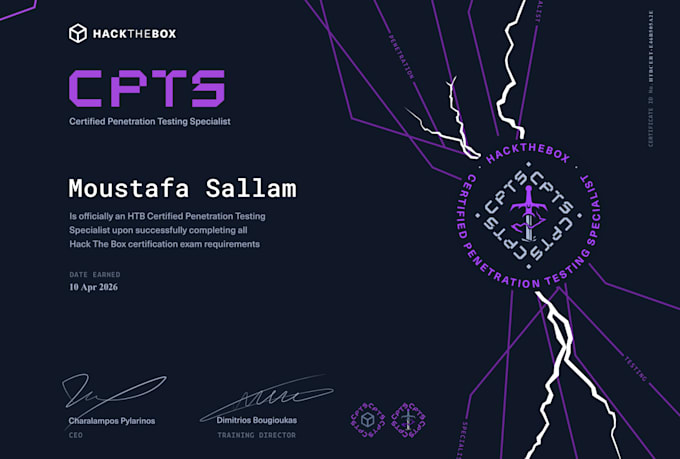 perform network and web application penetration testing